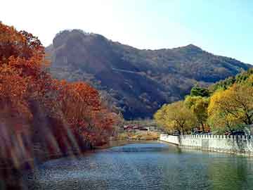 天天彩好彩天天免费，氙气大灯价格